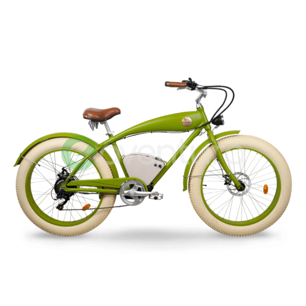 Rayvolt Beachin Smart Hub - 400 Wh / 10 Ah Vintage Green E-Bike